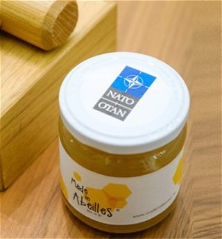 Пчелы в штаб-квартире НАТОпроизвели первые 25 кг меда