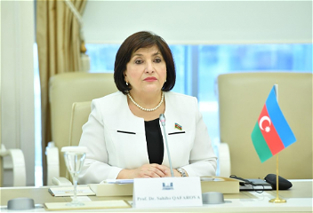 Председатель Милли Меджлиса Сахиба Гафарова провела встречу с министром торговли Турции