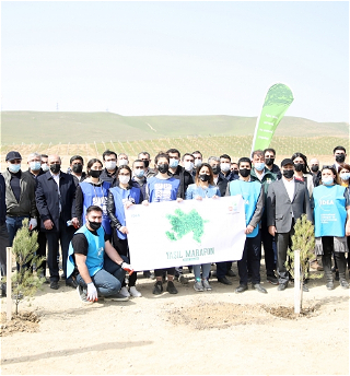 В рамках кампании«Зеленый марафон»сотрудники и волонтеры юстиции присоединились к акции по посадке деревьев