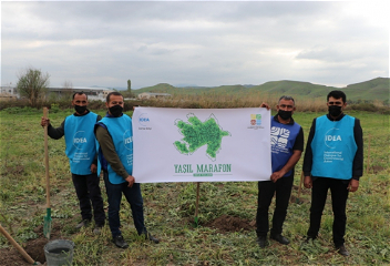 В рамках проекта «Зеленый марафон»в Губадлинском районе проведена акция по посадке деревьев
