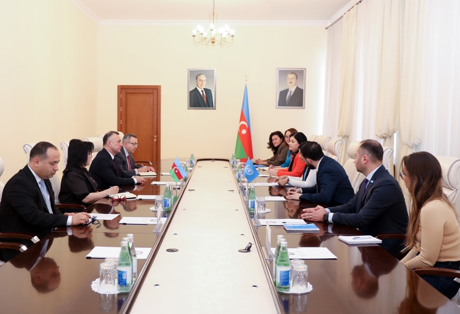 Азербайджан и ЮНИСЕФ рассматривают возможность совместных проектов в области программ иммунизации
