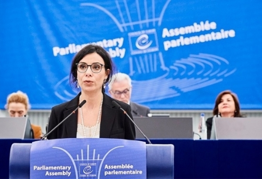 Председатель Комитета министров Совета Европы: В скором времени делегация Азербайджана вернется на свое достойное место в Парламентской Ассамблее