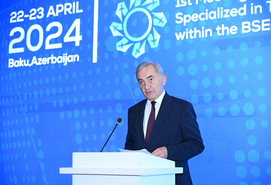 Генеральный секретарь ОЧЭС: Туристический сектор в Азербайджане развивается день ото дня и результаты налицо