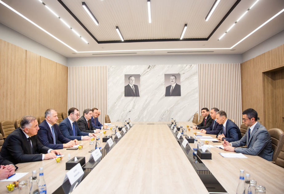 Азербайджан и Грузия обсудили вопросы сотрудничества в сфере транспорта и ИКТ