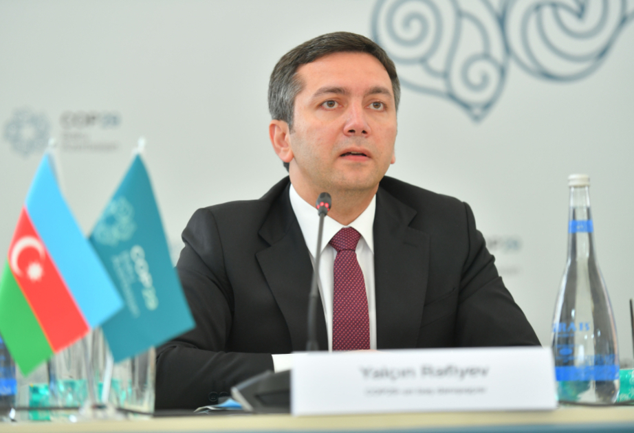 Ялчин Рафиев: СОР29 в Баку станет одной из самых успешных среди когда-либо проводившихся