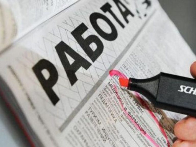 Занятость пошла в рост