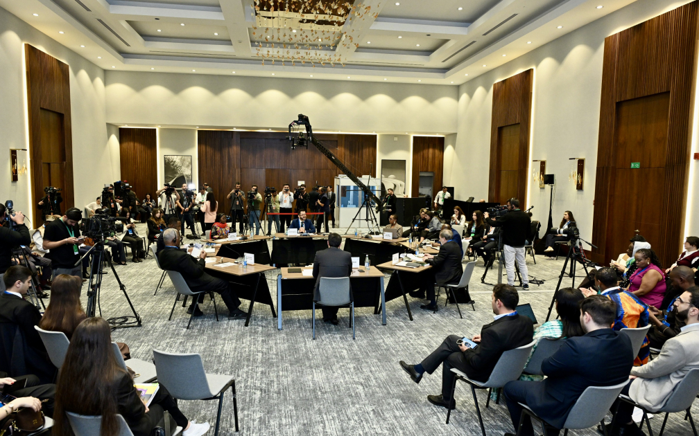 В Баку проходит международная конференция, посвященная бельгийскому колониализму