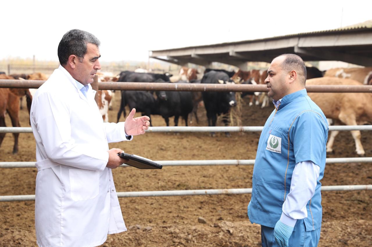 Оперативная реакция