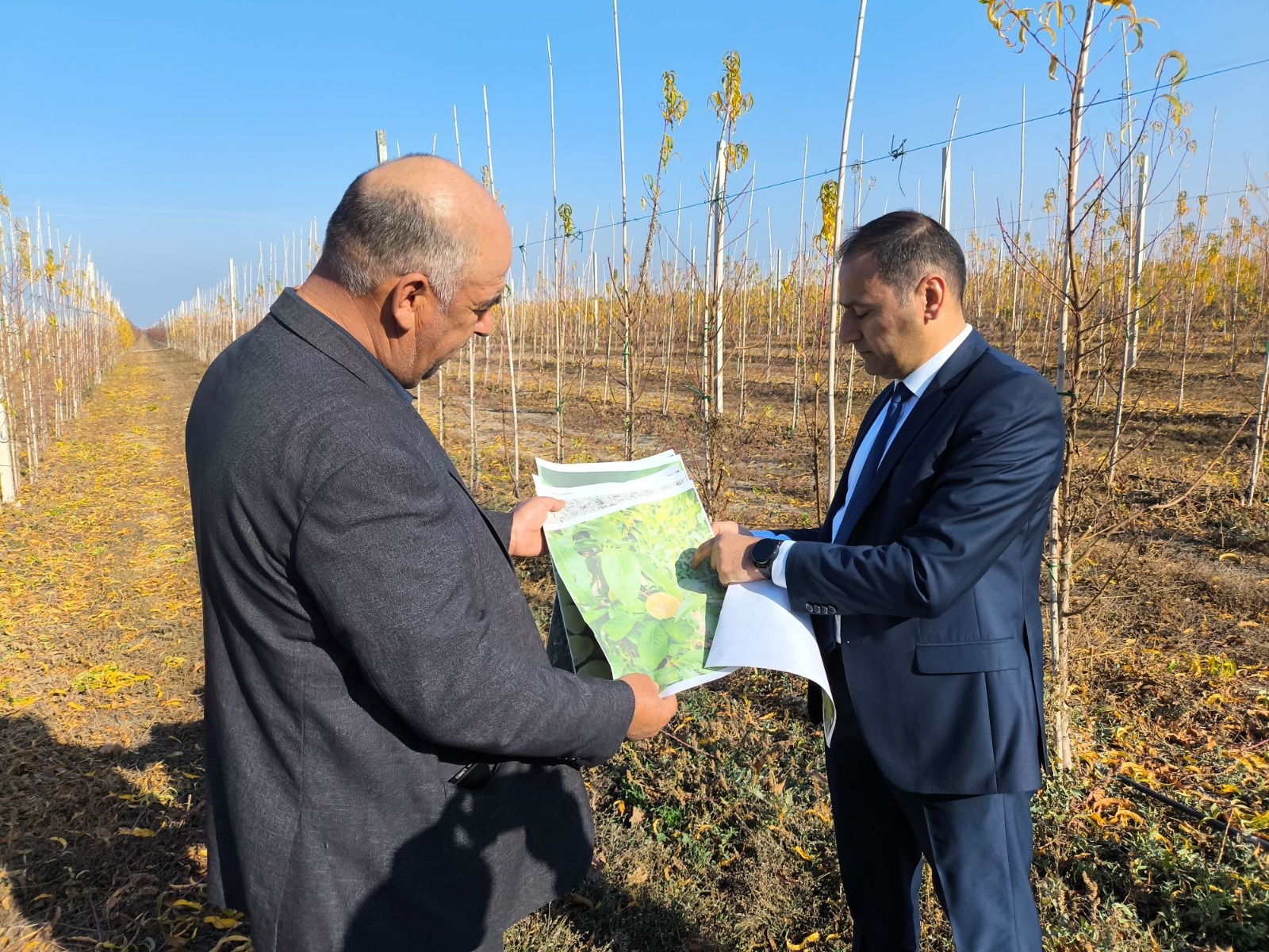 Когда страхование - не формальность