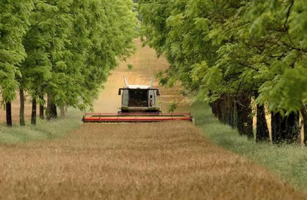 Зеленые гаранты устойчивости
