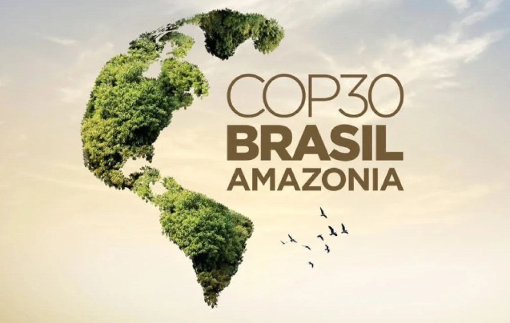 Бразилия спорила - Баку делал