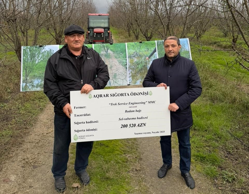 Надежная поддержка