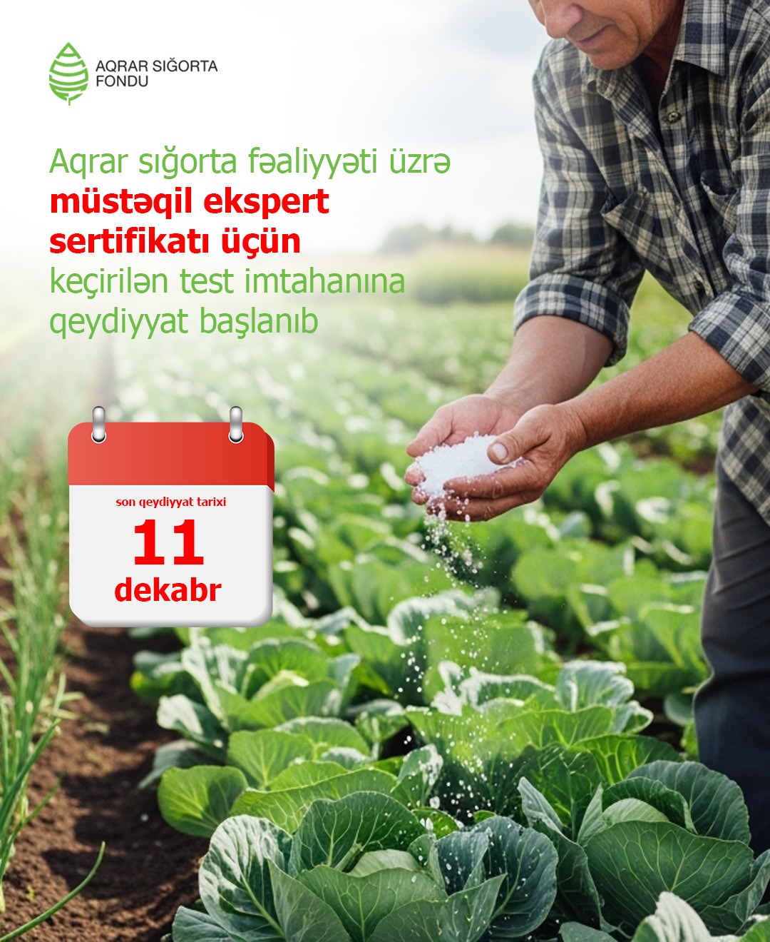 Корпус независимых экспертов