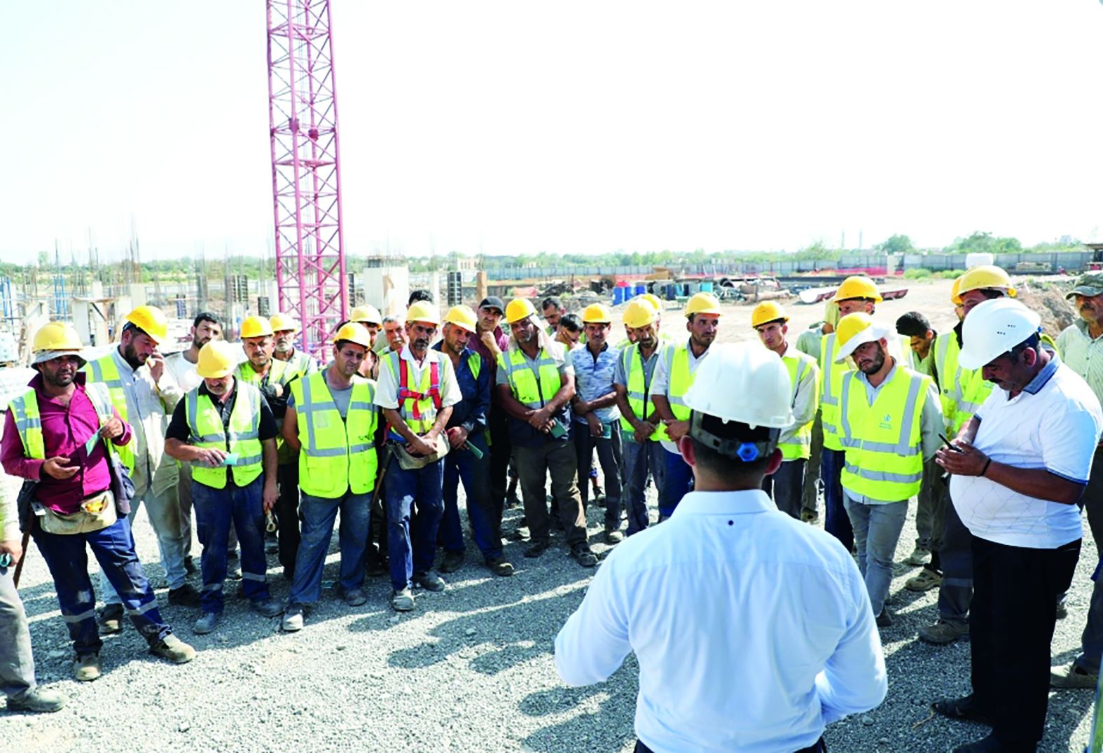 Пульс занятости