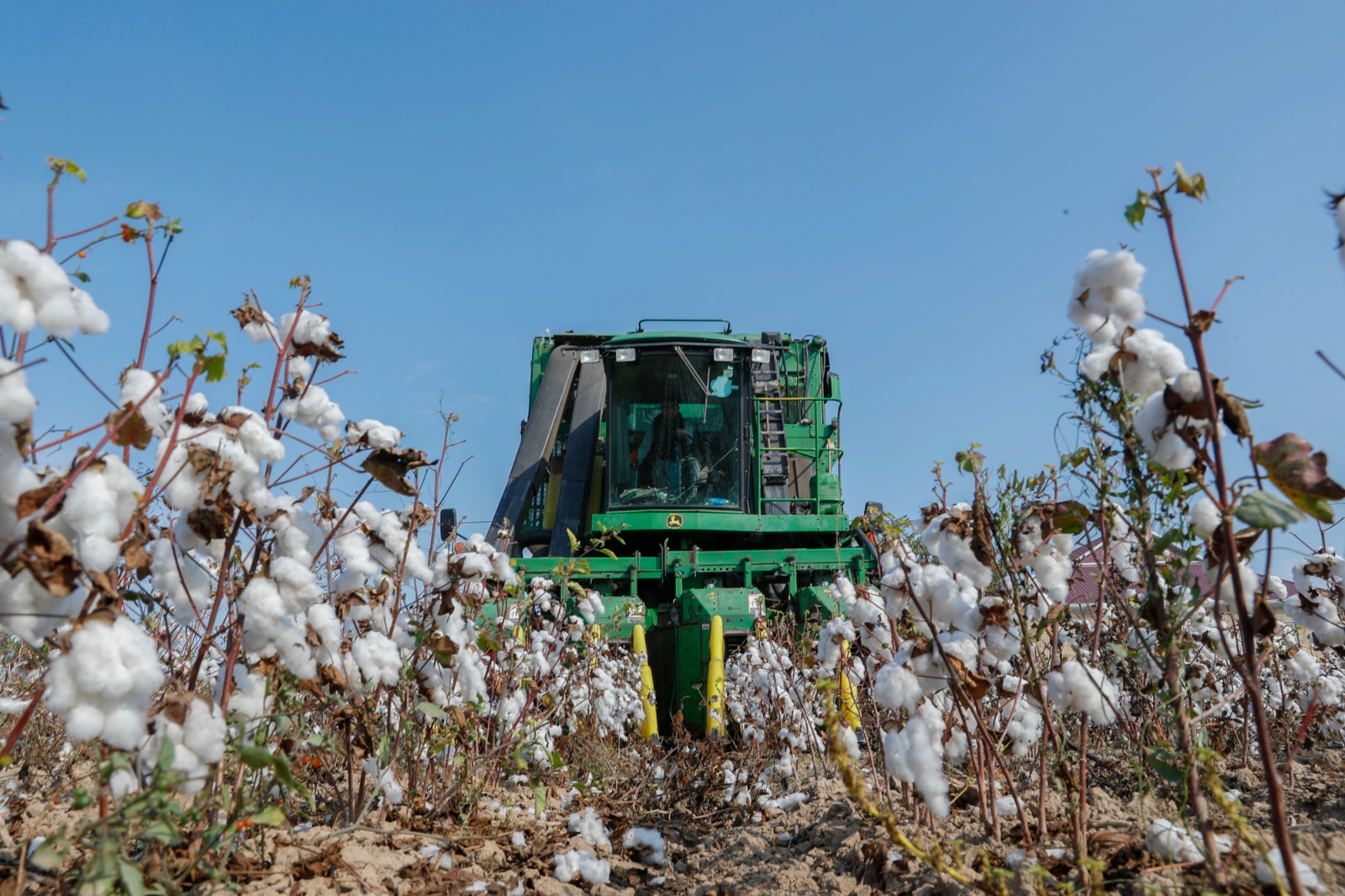 Тенденции и итоги сезона