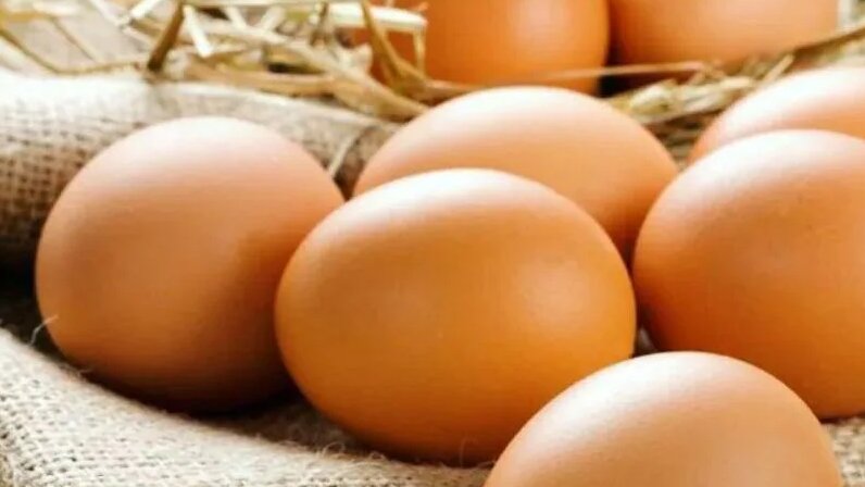 Дефицита яиц не ожидается