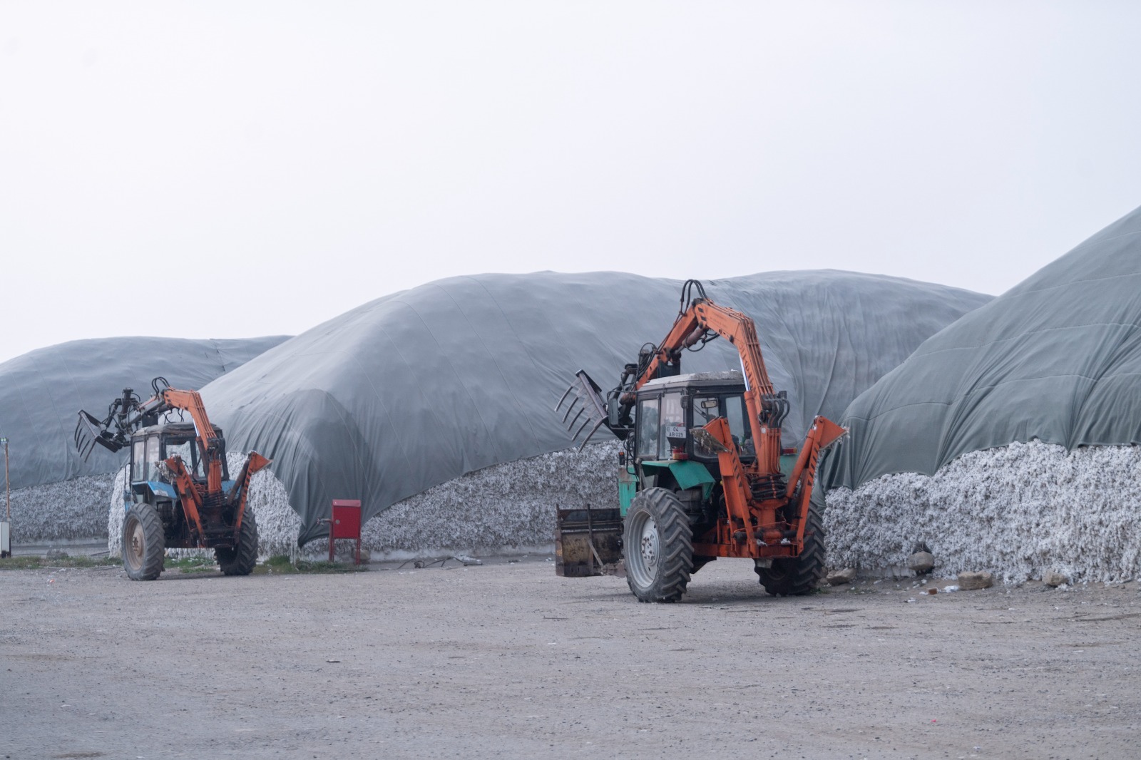 Рекордная урожайность