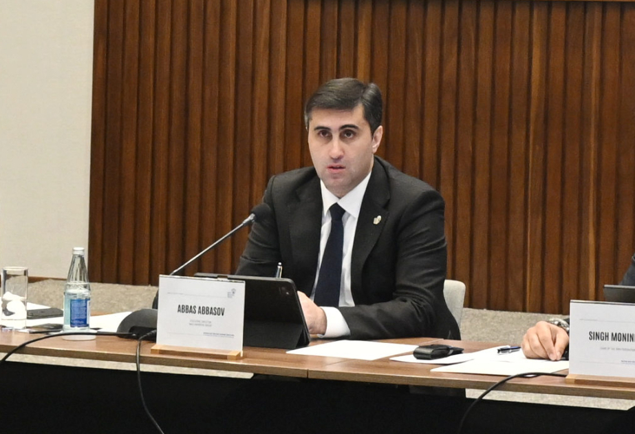 Бакинская инициативная группа наладила сотрудничество с более чем 20 странами и заморскими территориями