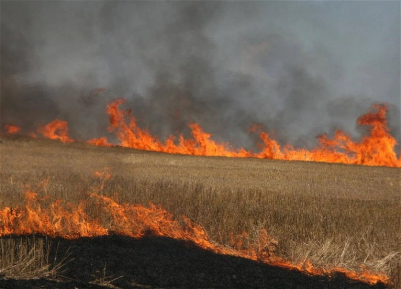 Президент Азербайджана утвердил новые штрафы за поджог пахотных земель