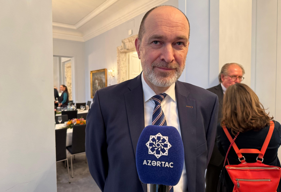 Немецкий профессор: Результаты, достигнутые Азербайджаном и Арменией, служат образцом для всего мира