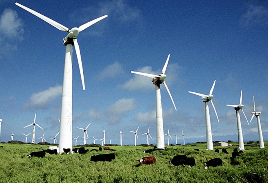 Великобритания планирует мобилизовать 100 млрд фунтов стерлингов инвестиций в ВИЭ и сокращение выбросов к 2030 году