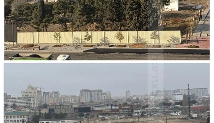 Зеленый террор