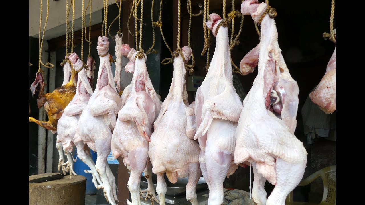 Птица с &laquo;сюрпризом&raquo;