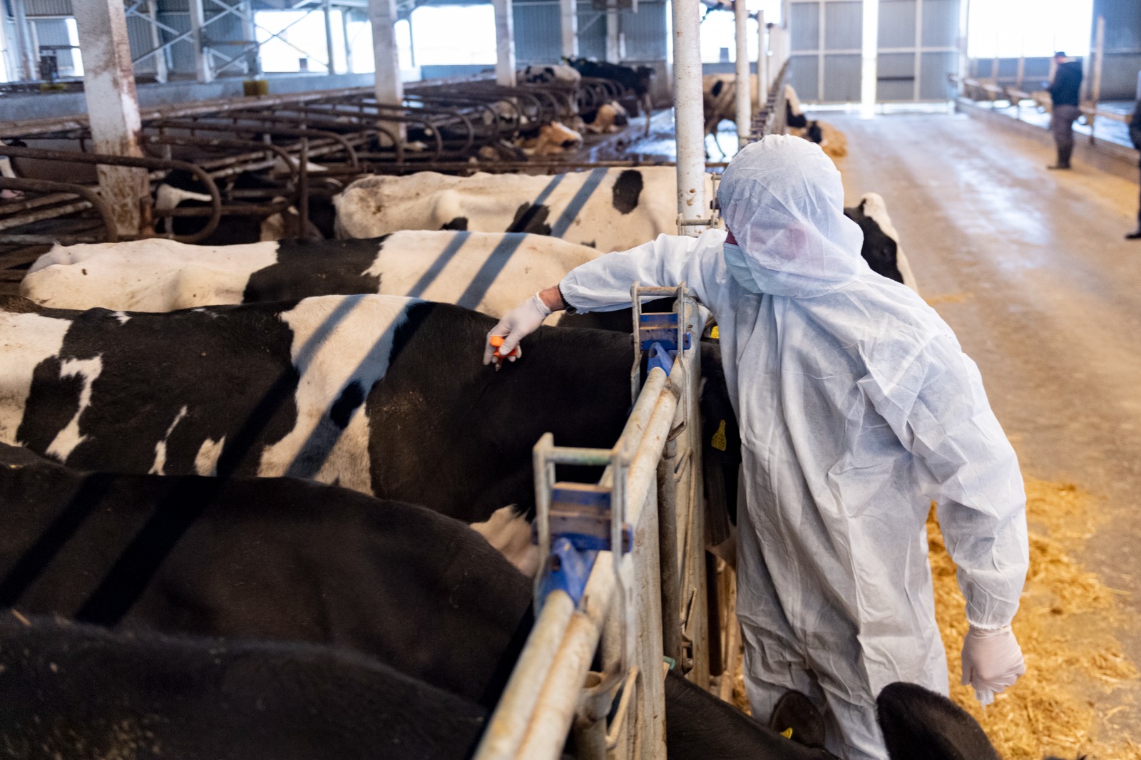 Профилактика как основной инструмент защиты