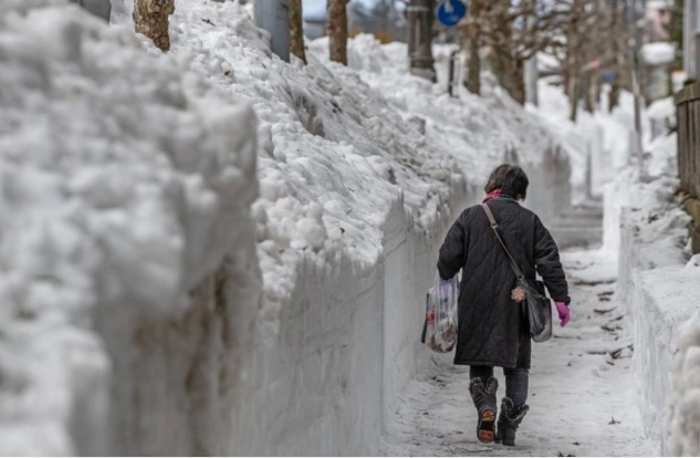 Число жертв снегопадов в Японии достигло 45