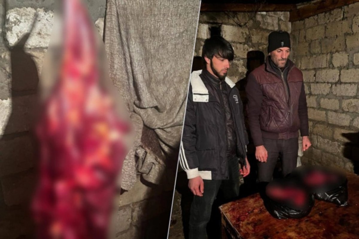 В Тертере продают конину под видом говядины