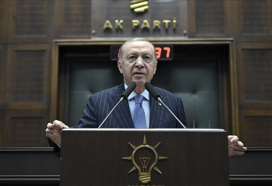 Президент Эрдоган: Анкара желает дружественным странам того же, чего желает Турции