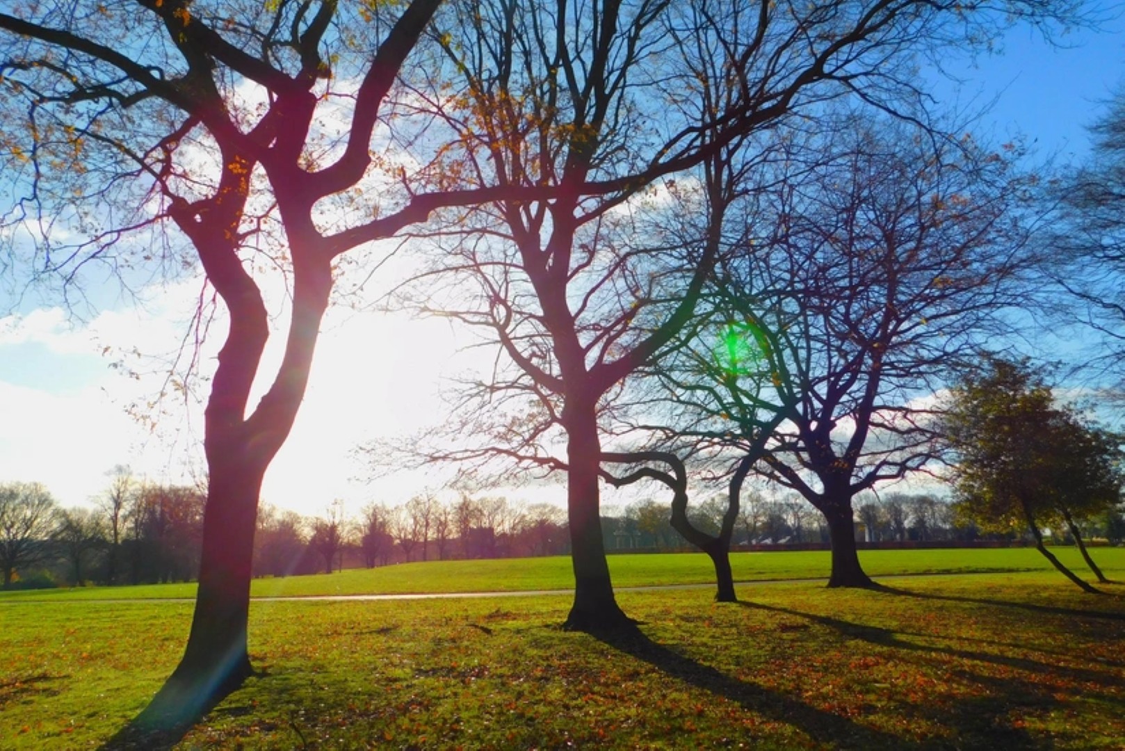 Завтра в Азербайджане ожидается до 18 градусов тепла