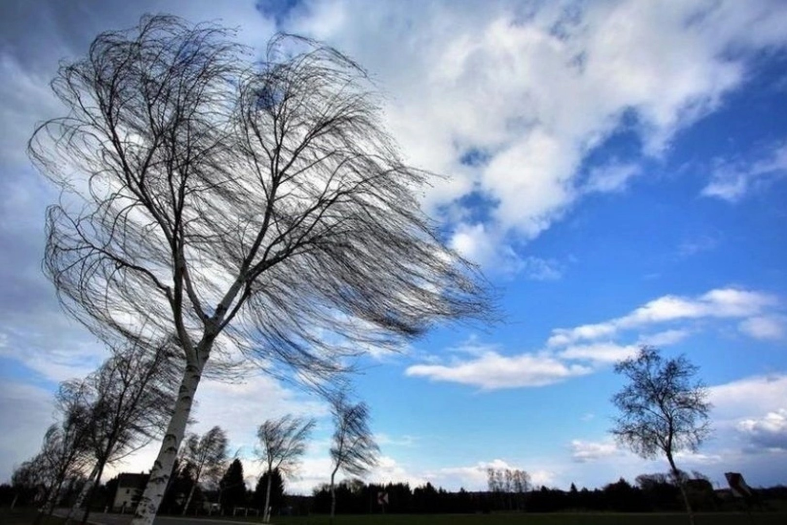 В выходные в Азербайджане ожидается усиление ветра