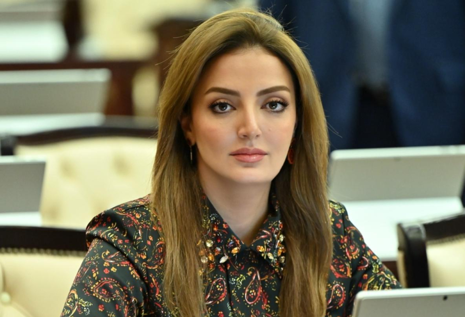 Кенуль Нуруллаева: На XIII Глобальном Бакинском форуме был озвучен призыв к стабильности путем диалога и сотрудничества