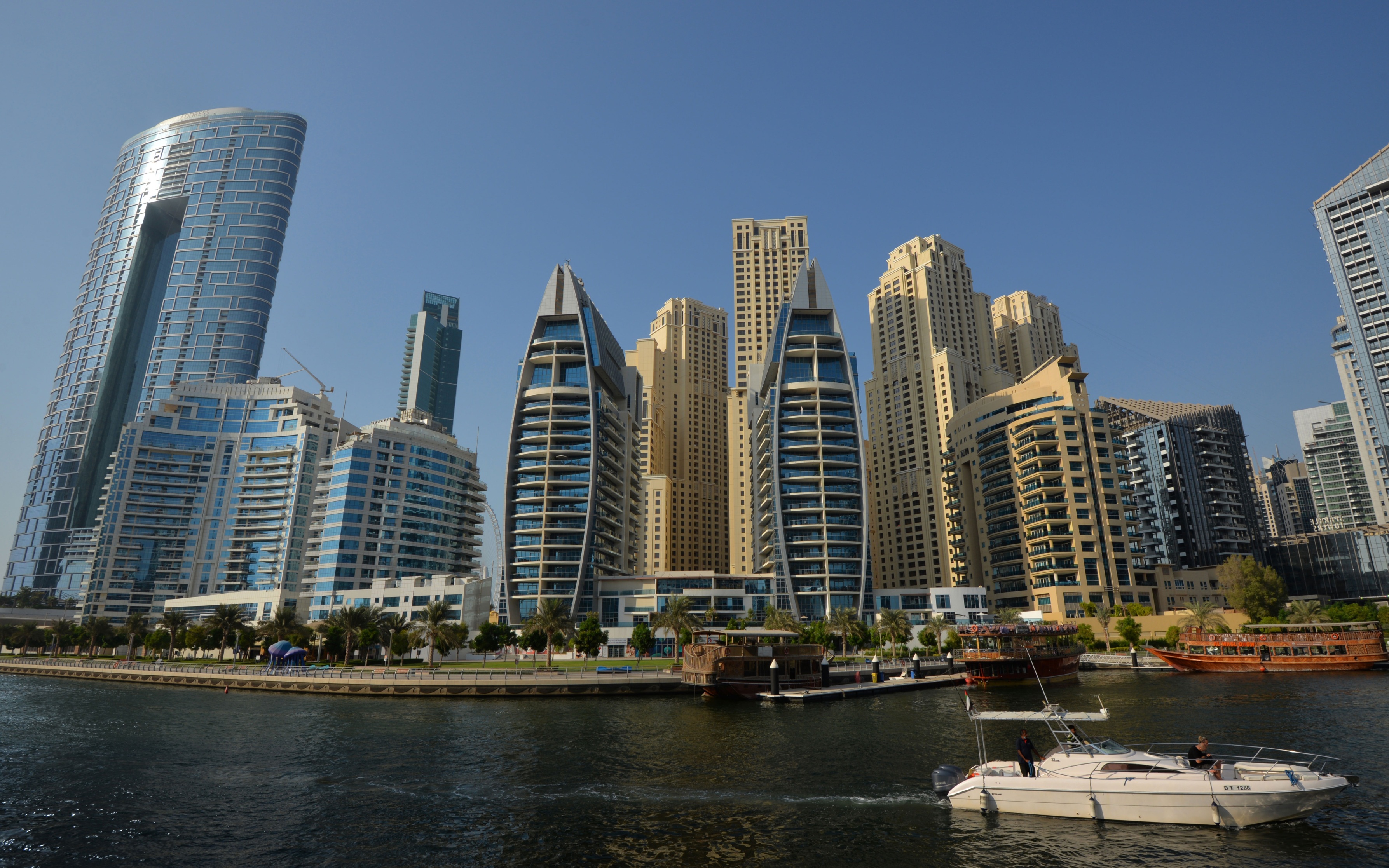 Генконсульство советует россиянам в Дубае снимать только котиков