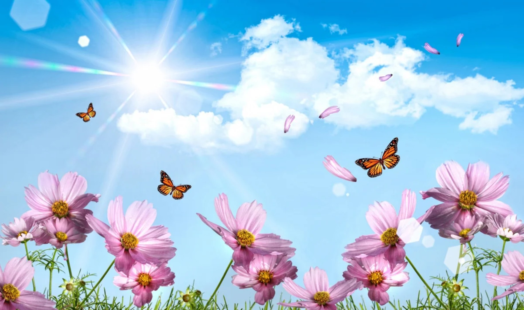 
В первый день апреля в Азербайджане ожидается до 25 градусов тепла