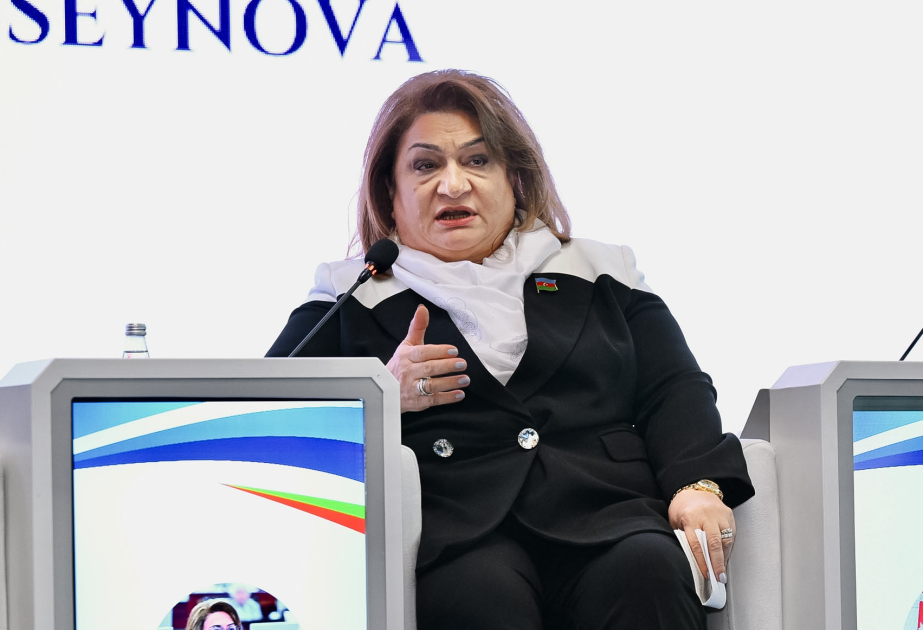 
Хиджран Гусейнова: Есть необходимость в повышении осведомленности о цифровом маркетинге в регионах