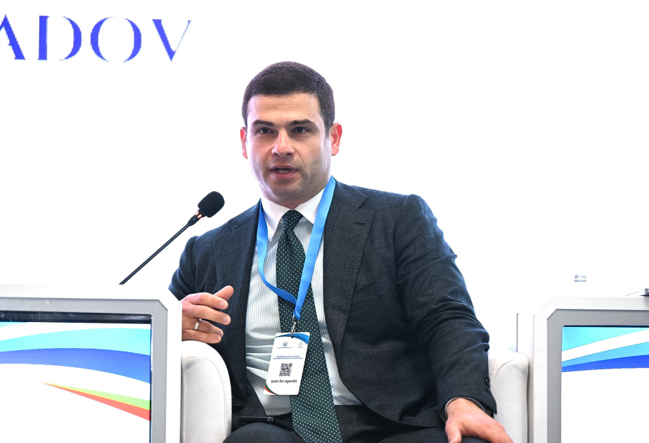 
Орхан Мамедов: 24 процента частных предпринимателей в нашей стране &ndash; женщины