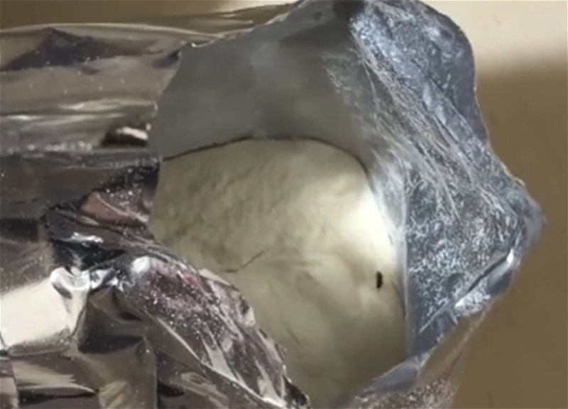 В Баку в купленном в аптеке детском питании обнаружили насекомое