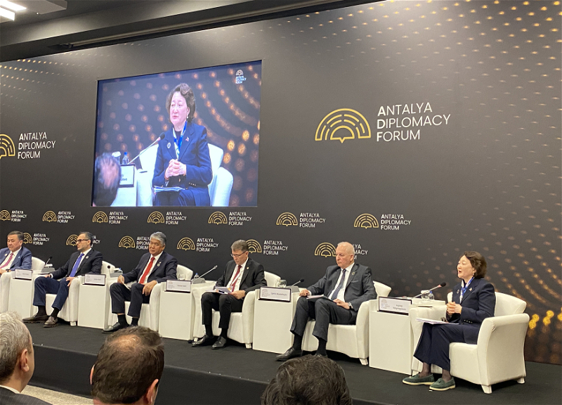 Актоты Раимкулова: Азербайджан внес важный вклад в превращение тюркского мира в глобальную силу