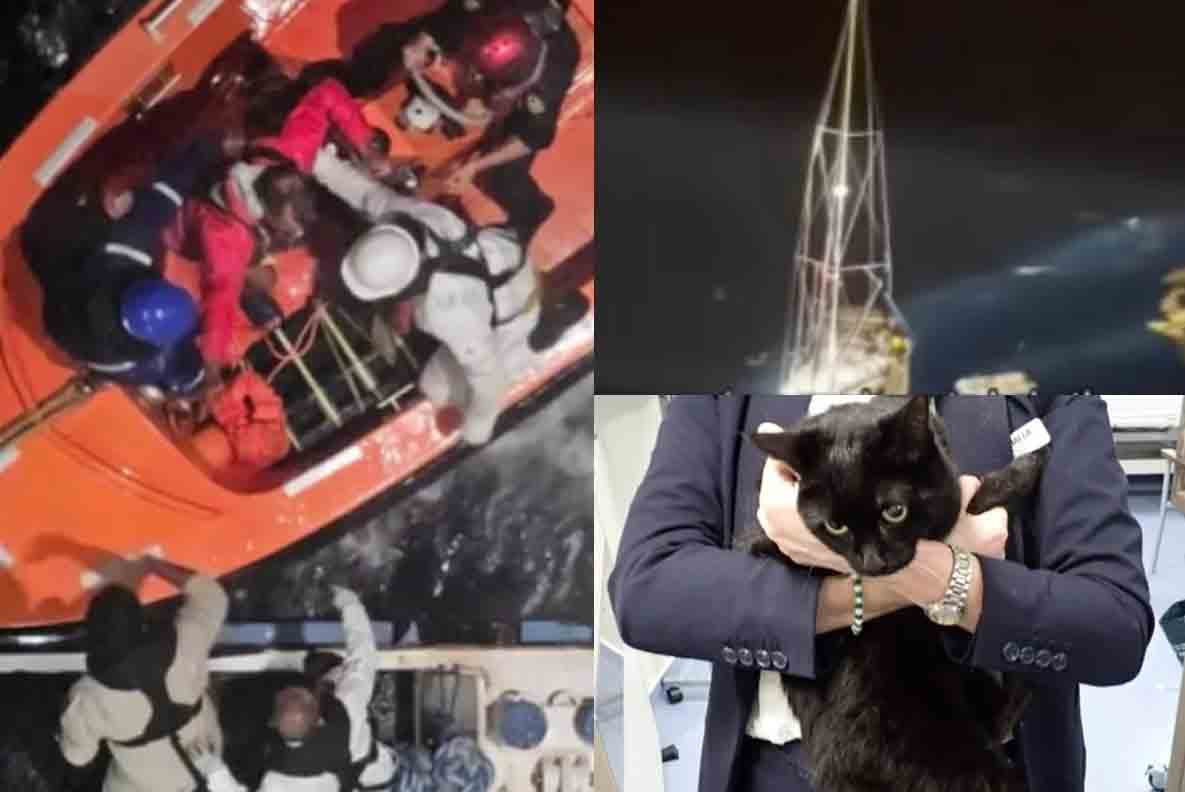 В Карибском море спасли мужчину с кошкой