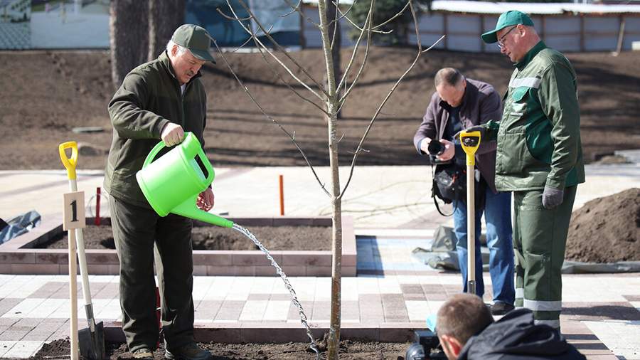 Александр Лукашенко с сыном Николаем принял участие в республиканском субботнике