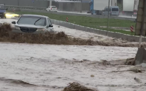 Жители Дагестана о спасении при потопах: детей везли в ковшах тракторов