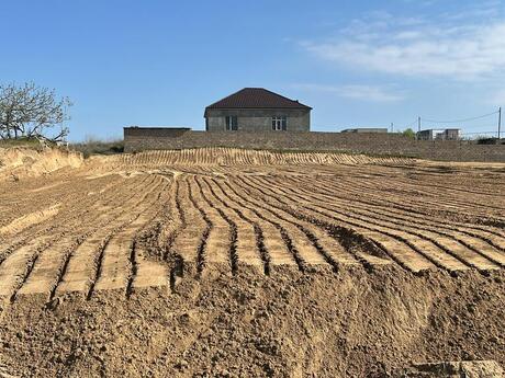 Золотой актив 