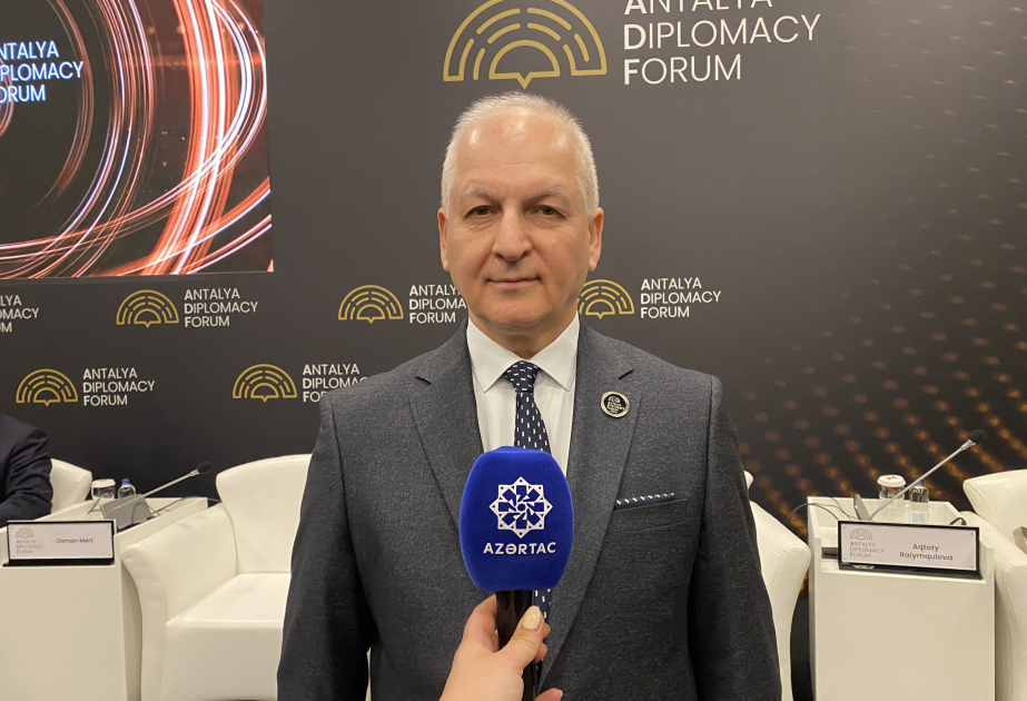 Шаин Мустафаев: Первый тюркологический съезд &ndash; крайне важное событие в культурной истории тюркских народов