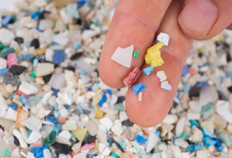 Микропластик повсюду: ученые предупреждают о скрытой угрозе для здоровья человека
