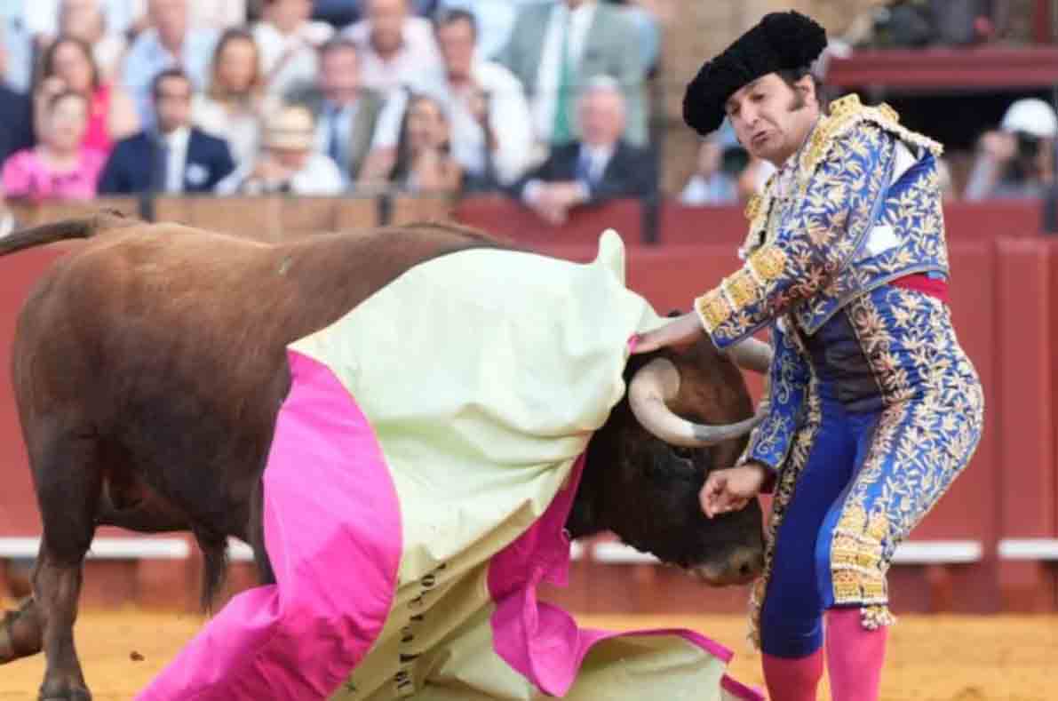 В Испании бык на корриде проткнул рогом тореадора