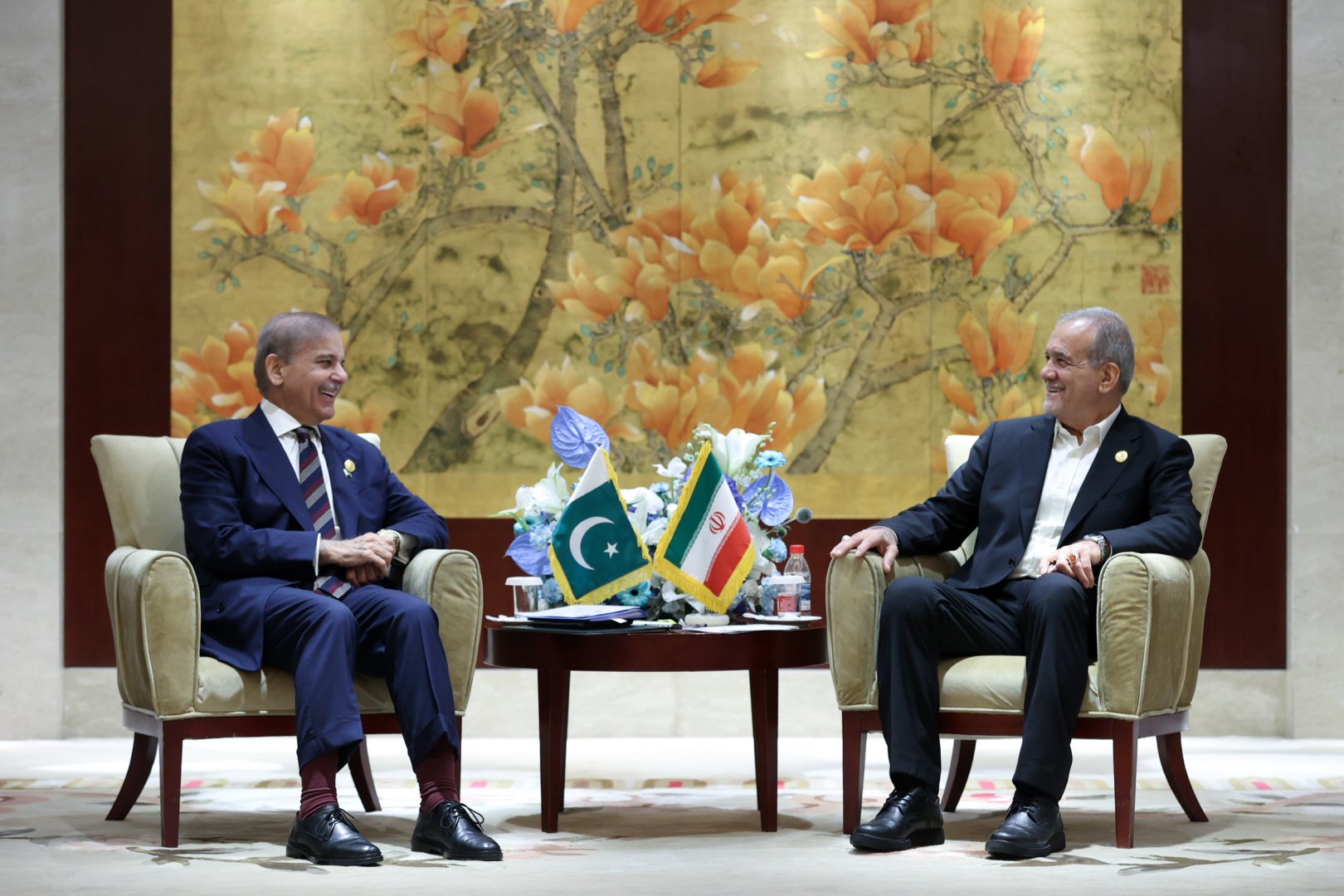 Премьер Пакистана обсудил с президентом Ирана на Ближнем Востоке