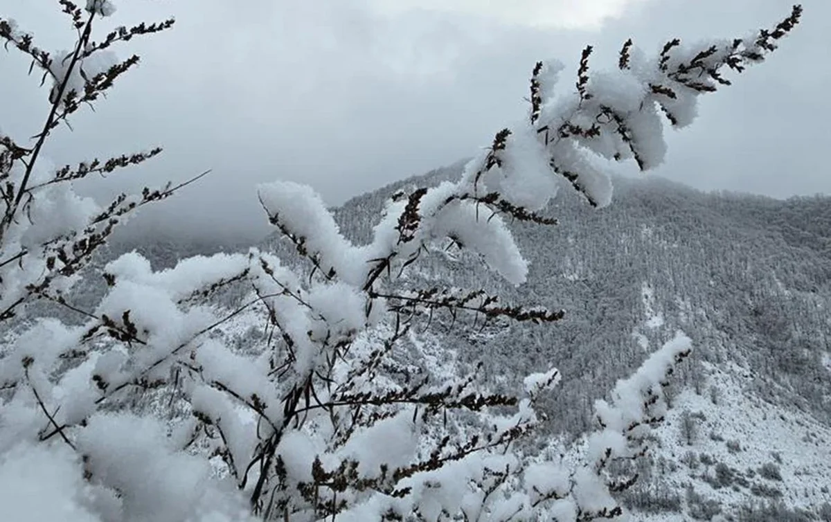 В ряде районов Азербайджана идет снег, в Баку усилился ветер