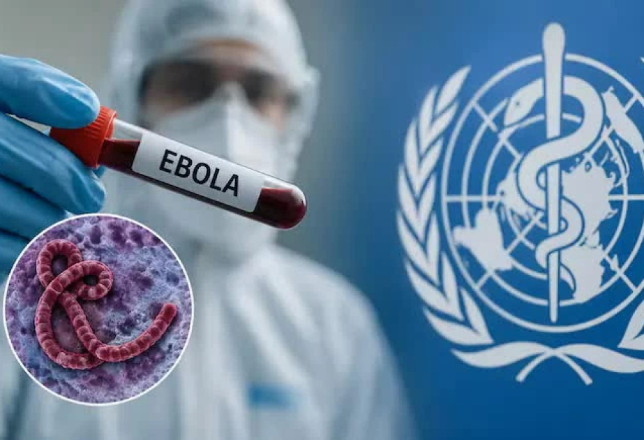 
Africa CDC предупредили о высоком риске вспышки Эболы в 10 странах Африки